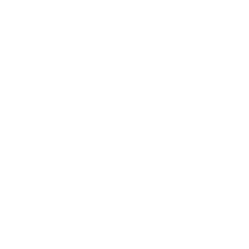 Erwin Logo Display