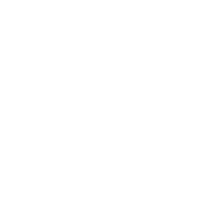 Experience Logo Display
